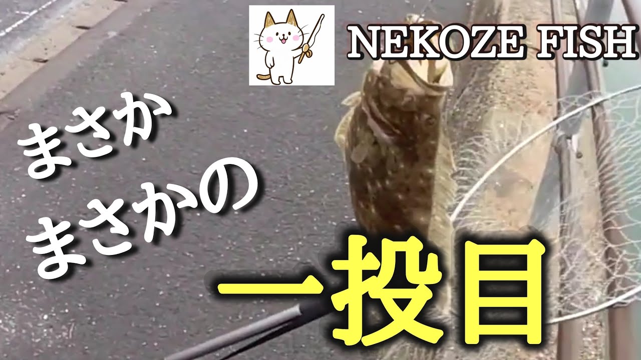 まさかの一投目　その２　今度はちゃんと釣れました