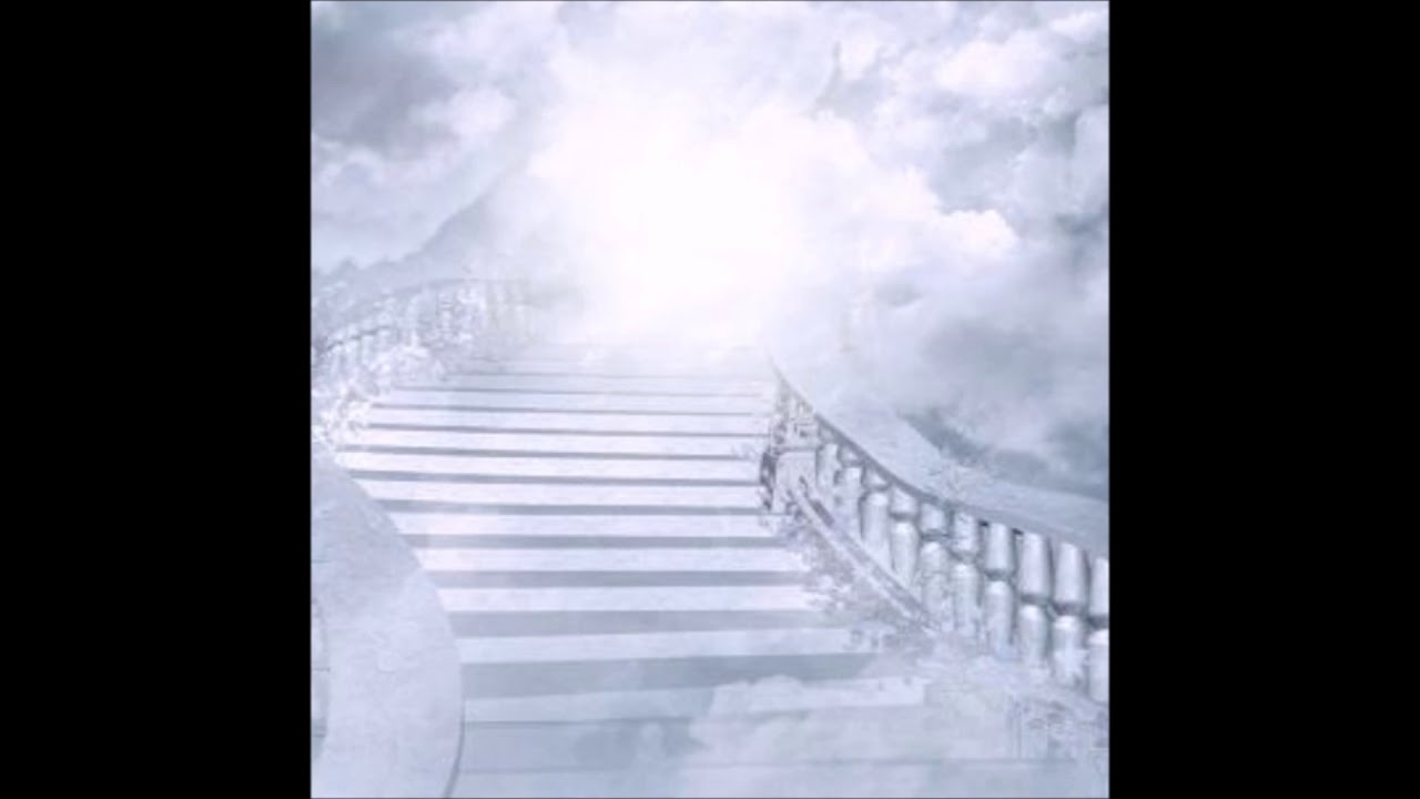 38. shieldLess/cight - short nightmare✧✧✧✧ [12.03.2017]