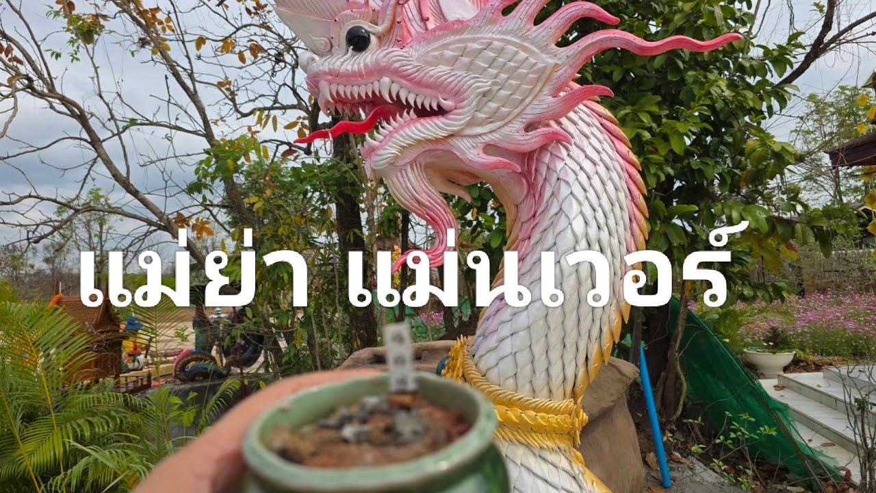 ใครรวยกับแม่ย่าบ้าง