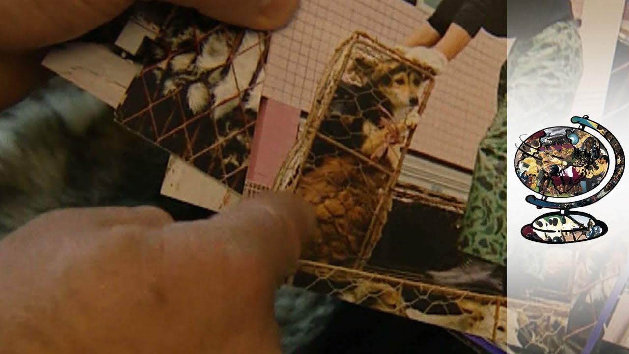 Europe's Thriving Fur Trade (2003)