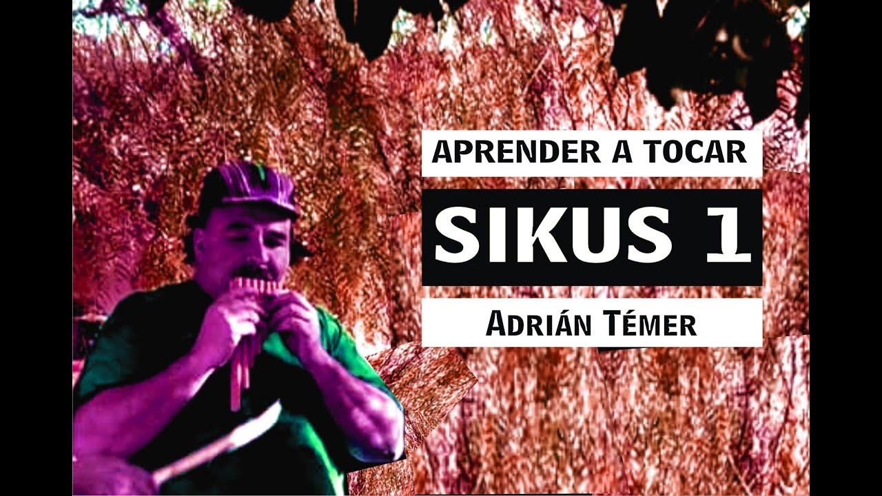 Aprender a tocar SIKUS 1 @adriantemer  #sikus