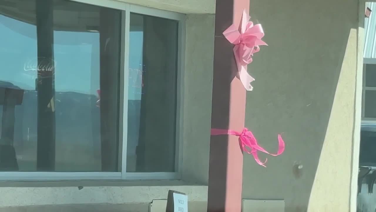 Жертва из округа Уэйн 