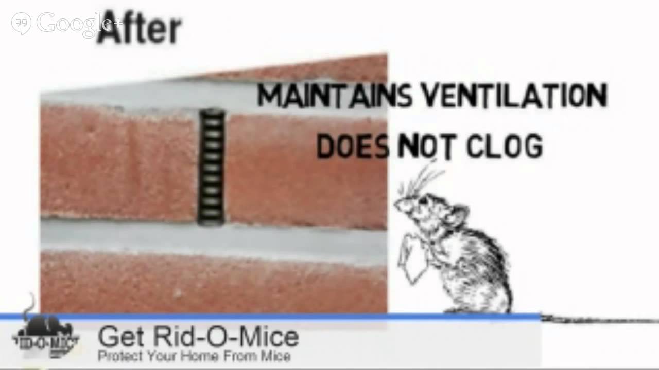 How to Get Rid of Mice in Your Home, Rid-O-Mice weep barriers stop mice from entering your house.