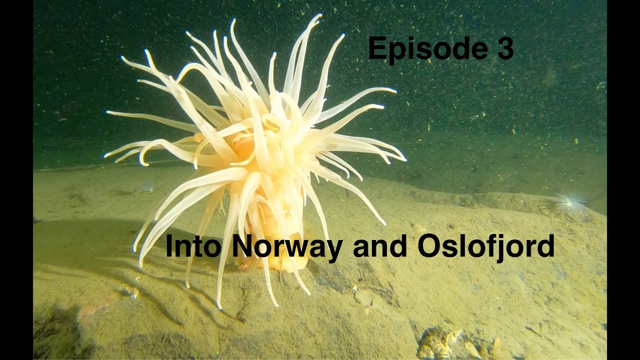 Ep 3: Into Norway and Diving Oslofjord