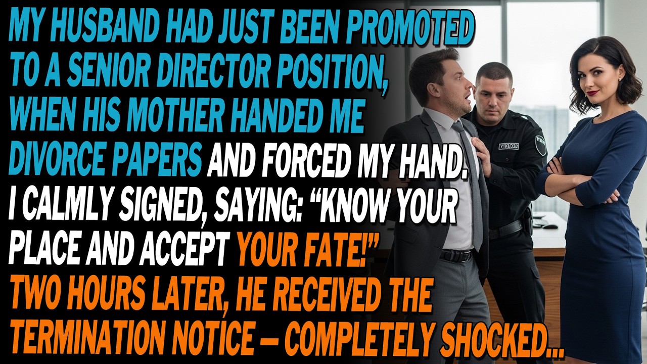 💼 Husband Promoted To Director, Mil Forced Me To Sign Divorce Papers—2 Hours Later, He…