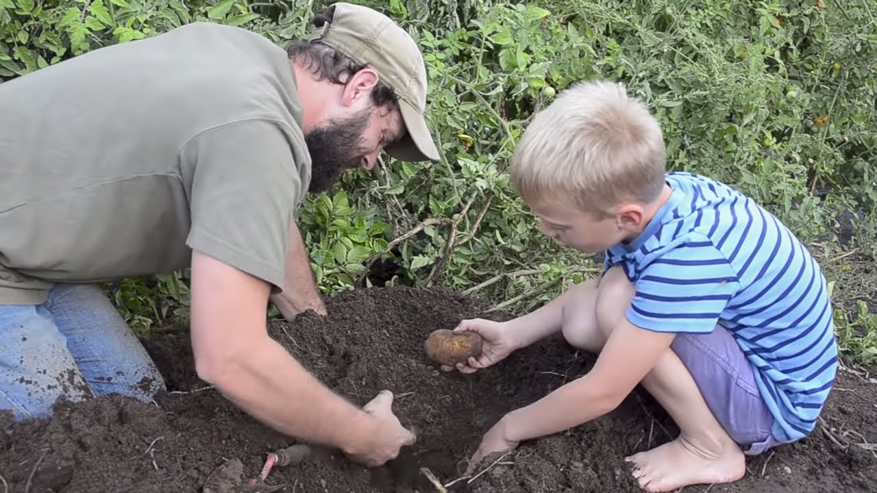 Market Gardening & A Massive Fall Harvest! | Cold Storage of Autumn Crops