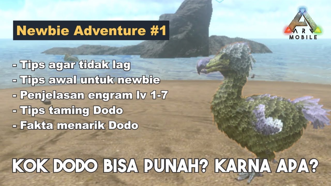 # NA1 Tips for Not Lagging, Tips for Early Playing, Funfact Dodo, etc. | ARK Mobile Indonesia