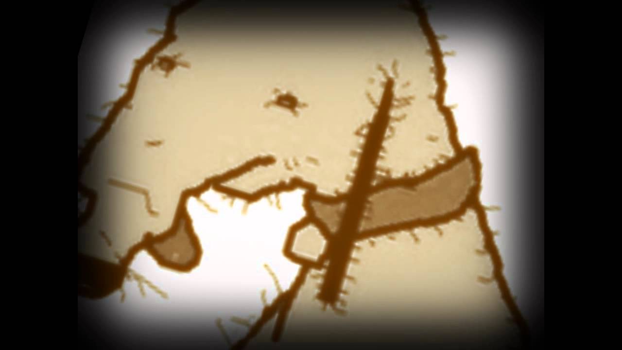 A Gooby Story - 