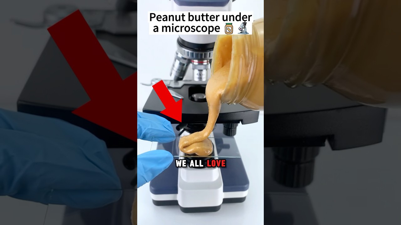 PEANUT BUTTER under the microscope 😱🔬
