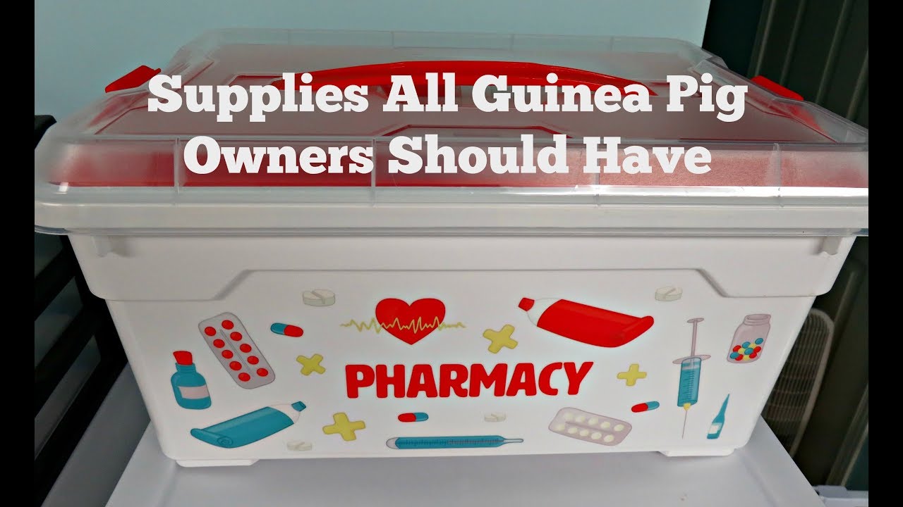 Medical Care Kit For Guinea Pigs
