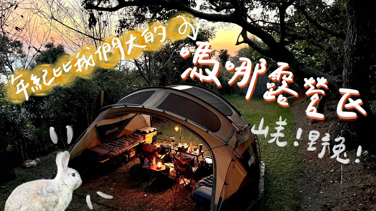 苗栗泰安丨嗎哪露營區丨山羌野兔都來啦！丨40年前衛浴長這樣？