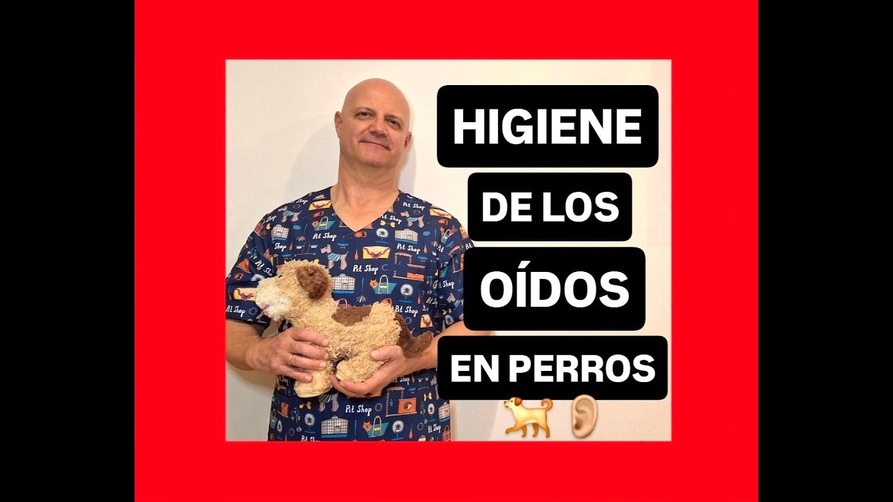 Higiene de los oídos en perros.