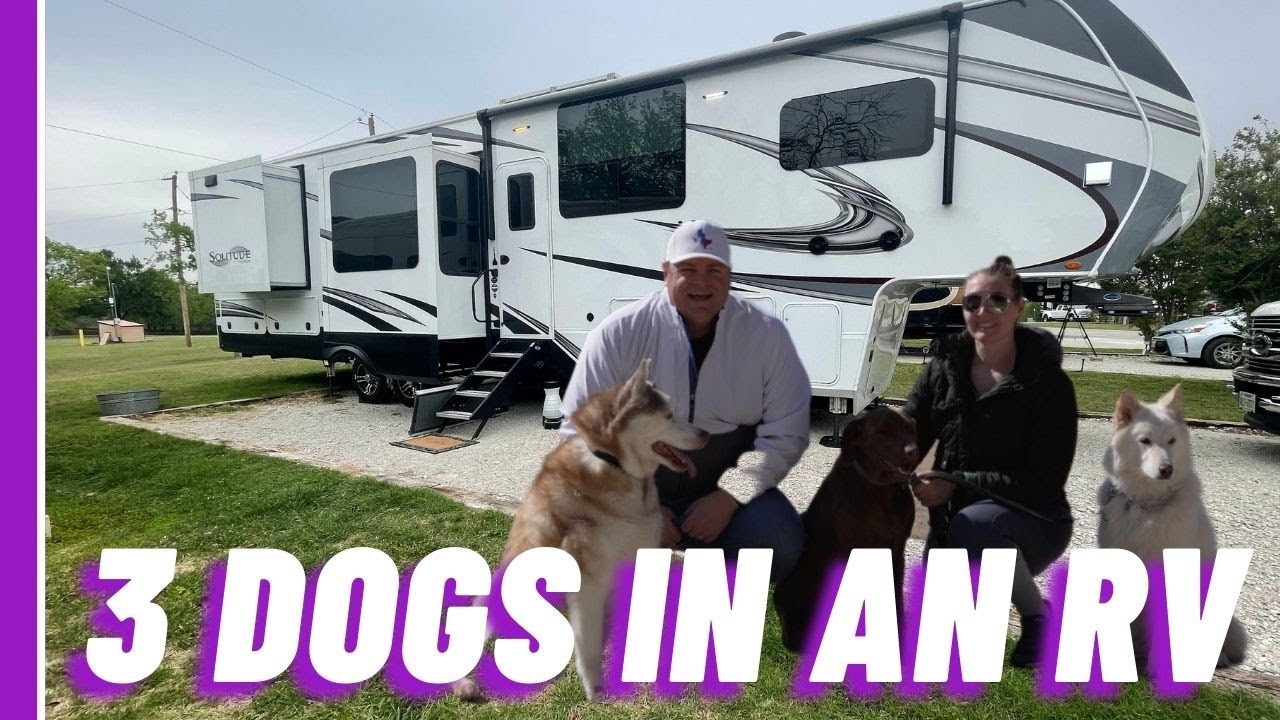 FULLTIME RVING WITH 3 LARGE DOGS