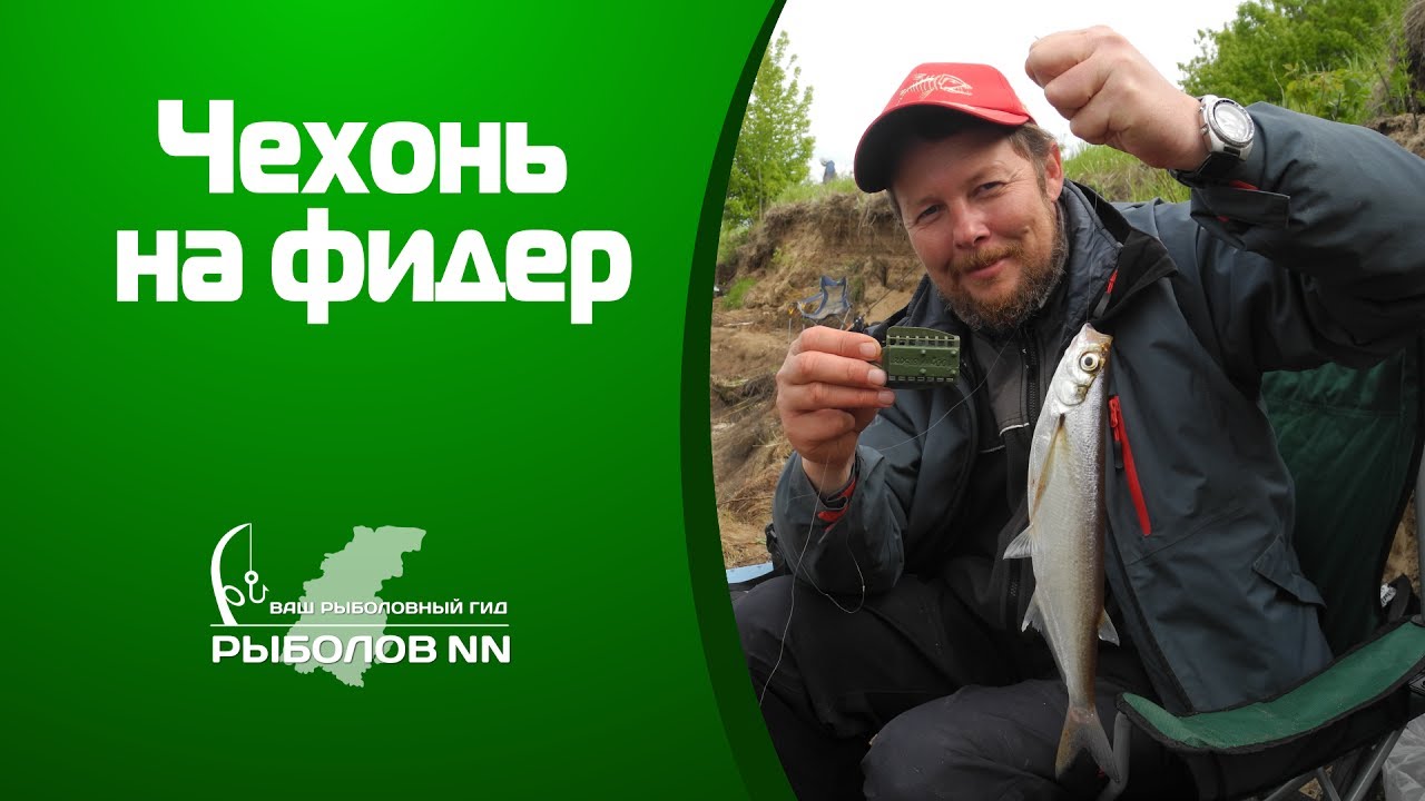 Чехонь на фидер Рыбалка на Волге на пенопласт с опарышем.
