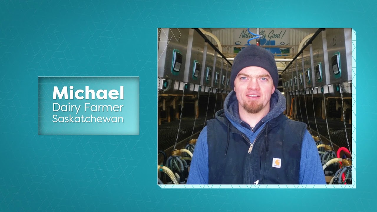 Should I worry about artificial growth hormones in Canadian milk? No!