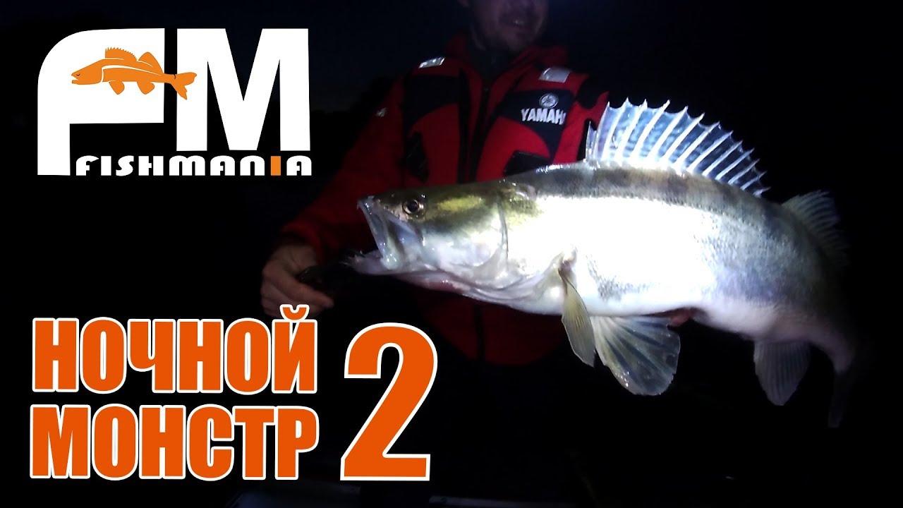 ВОТ ЭТО УДАР! Ночной судак под 5 КГ! г.Павлодар. р.Иртыш