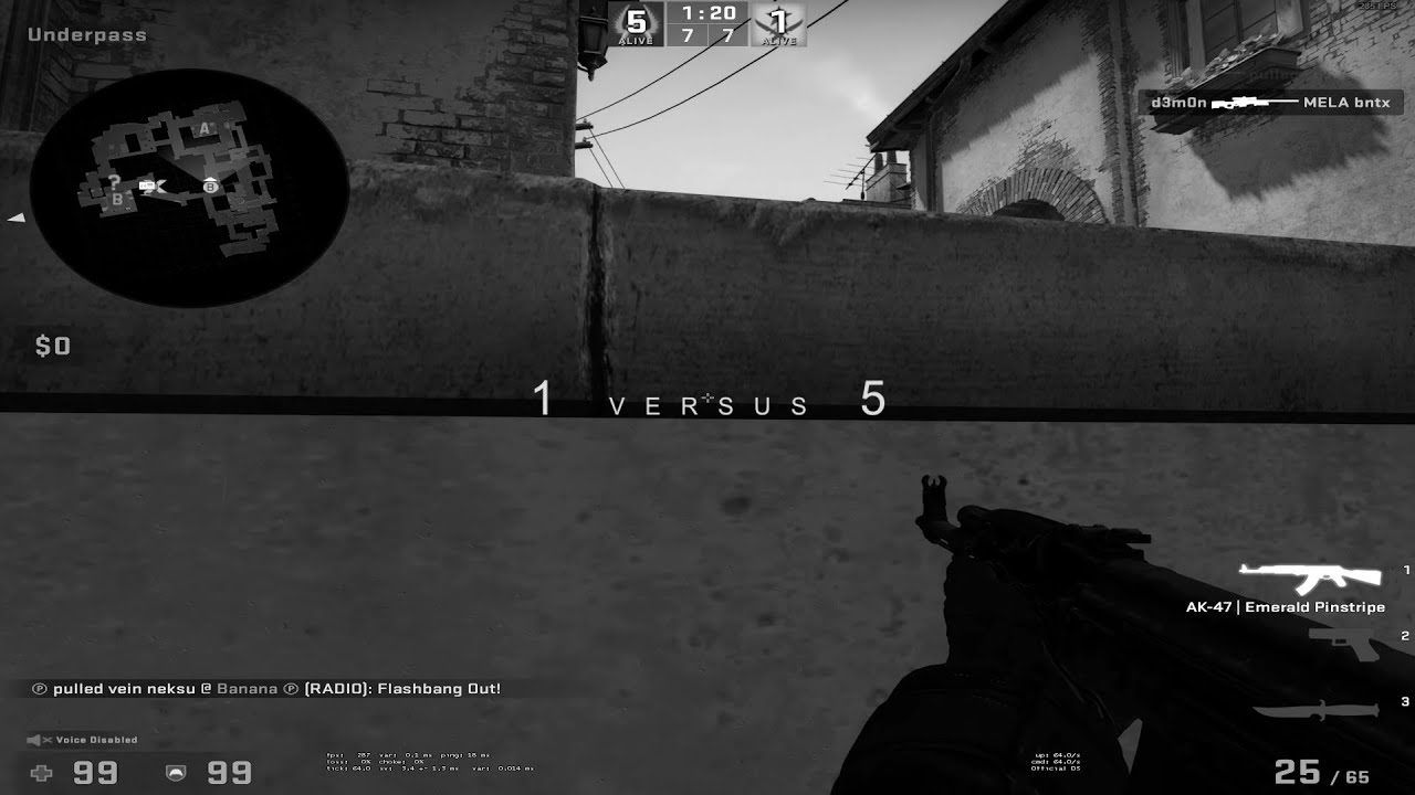 LEFFA1