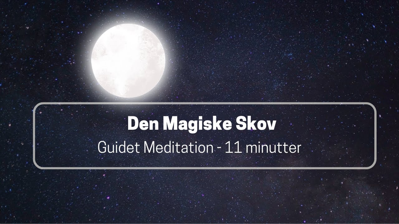 Kort Guidet Aftenmeditation - Den Magiske Skov