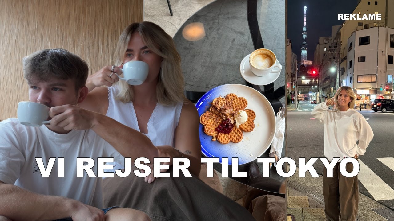 VI REJSER TIL JAPAN