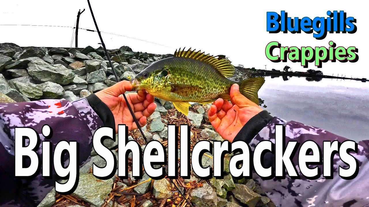 12 Hours Fishing Stockton, CA Delta