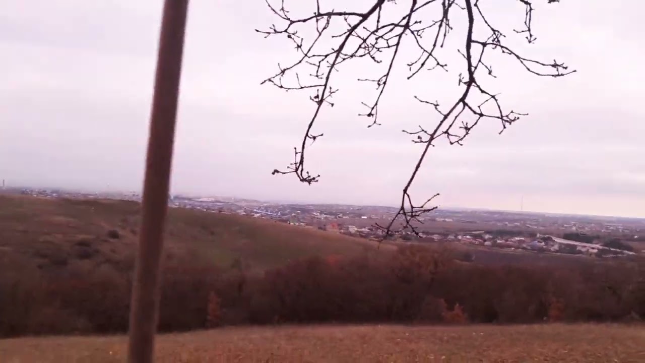 Jahzz dili Jahnz - Песня Подорожников.                            Посидите с нами, зацените клип!