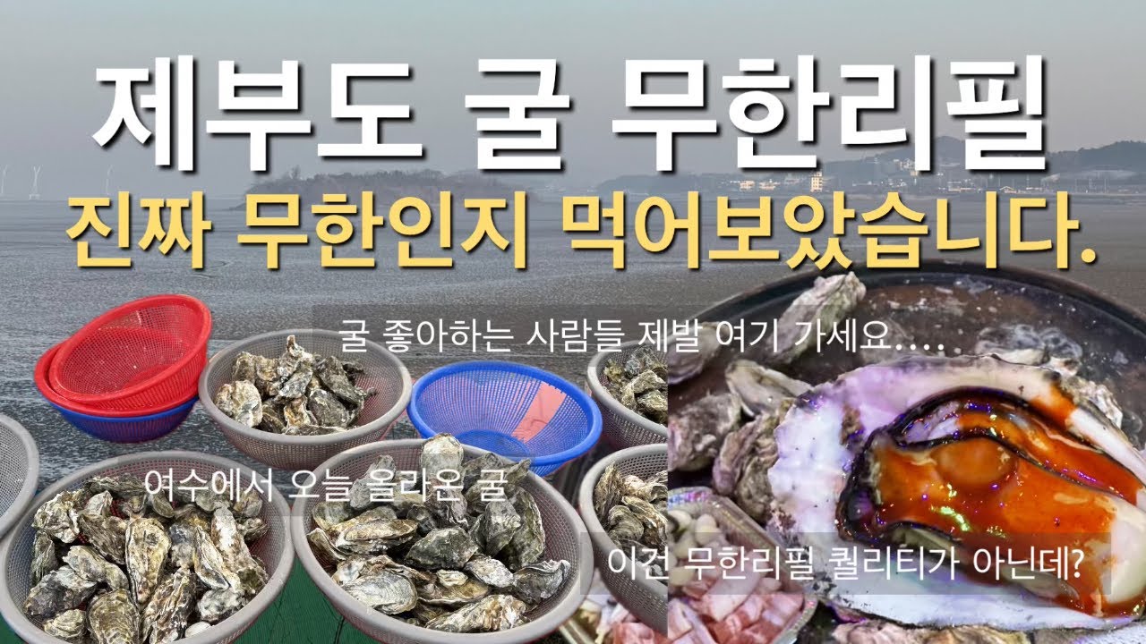 제부도 굴 무한리필 진짜인가? 먹어보고 왔습니다 제부도굴구이