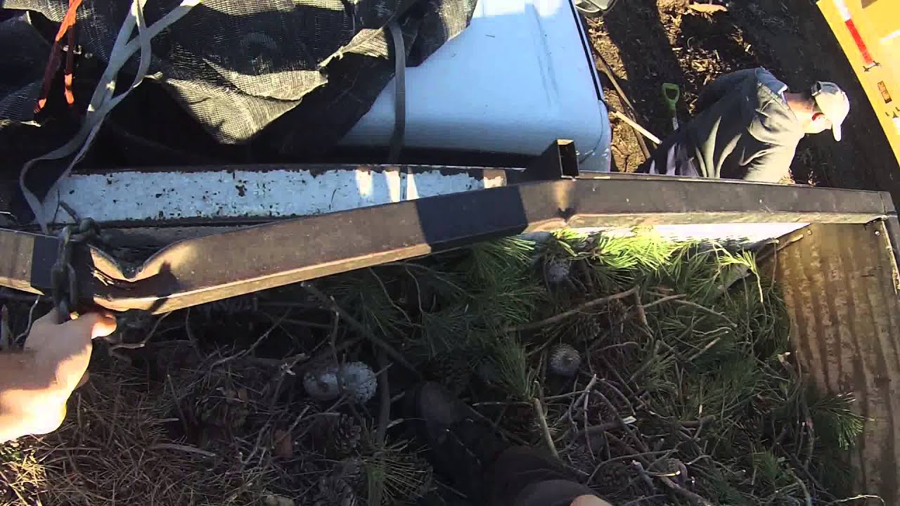 Octavios tree service 1