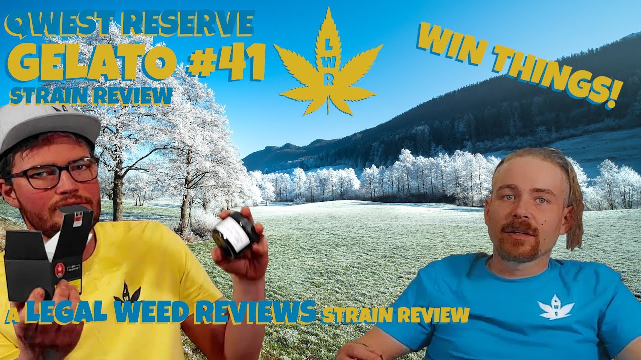 Qwest Reserve's GELATO #41 Strain Review - Legal Weed Reviews (18+)