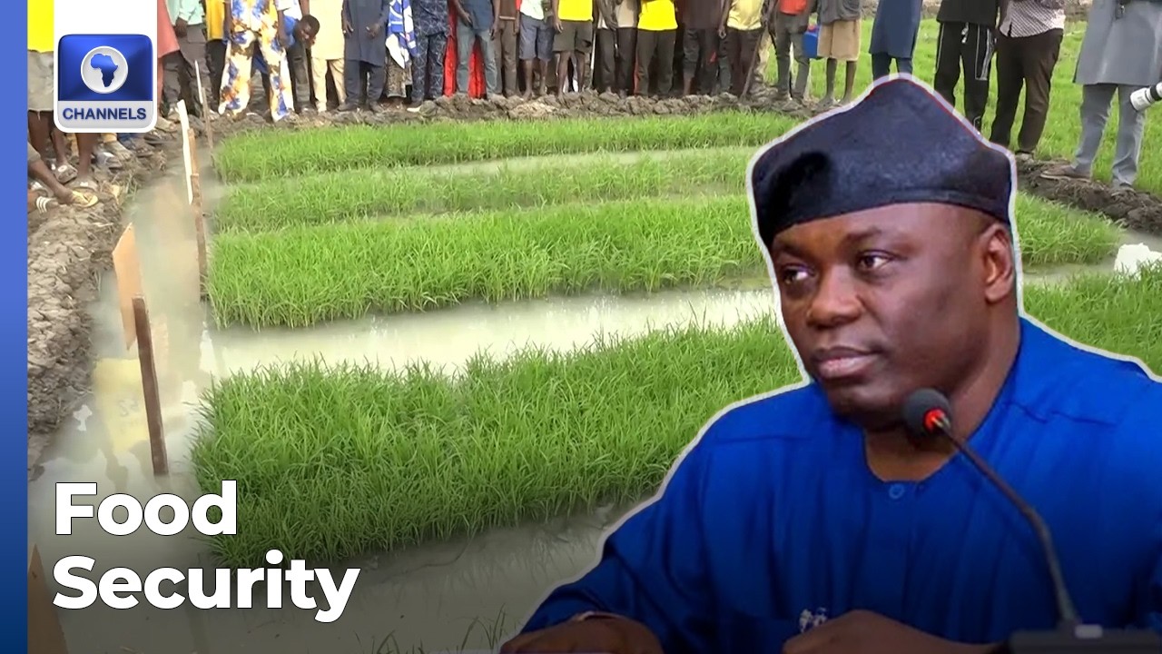 Taraba Gov Launches Seeds Production Facility