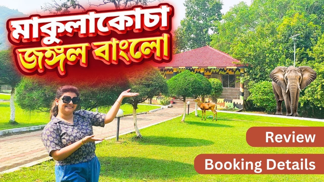 Makulakocha Eco Hut | Dalma Forest Rest House | মাকুলাকোচা রিসর্ট | Booking Guide