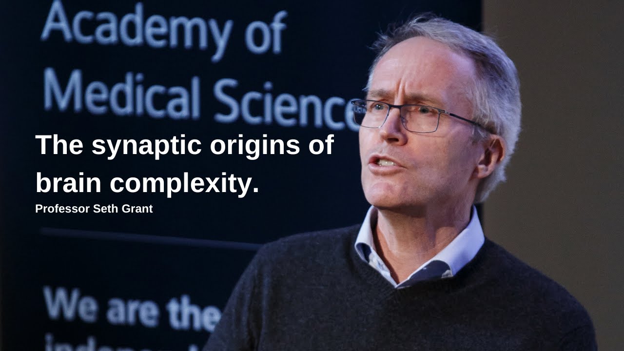 The Developing Brain | Professor Seth Grant FMedSci FRSE