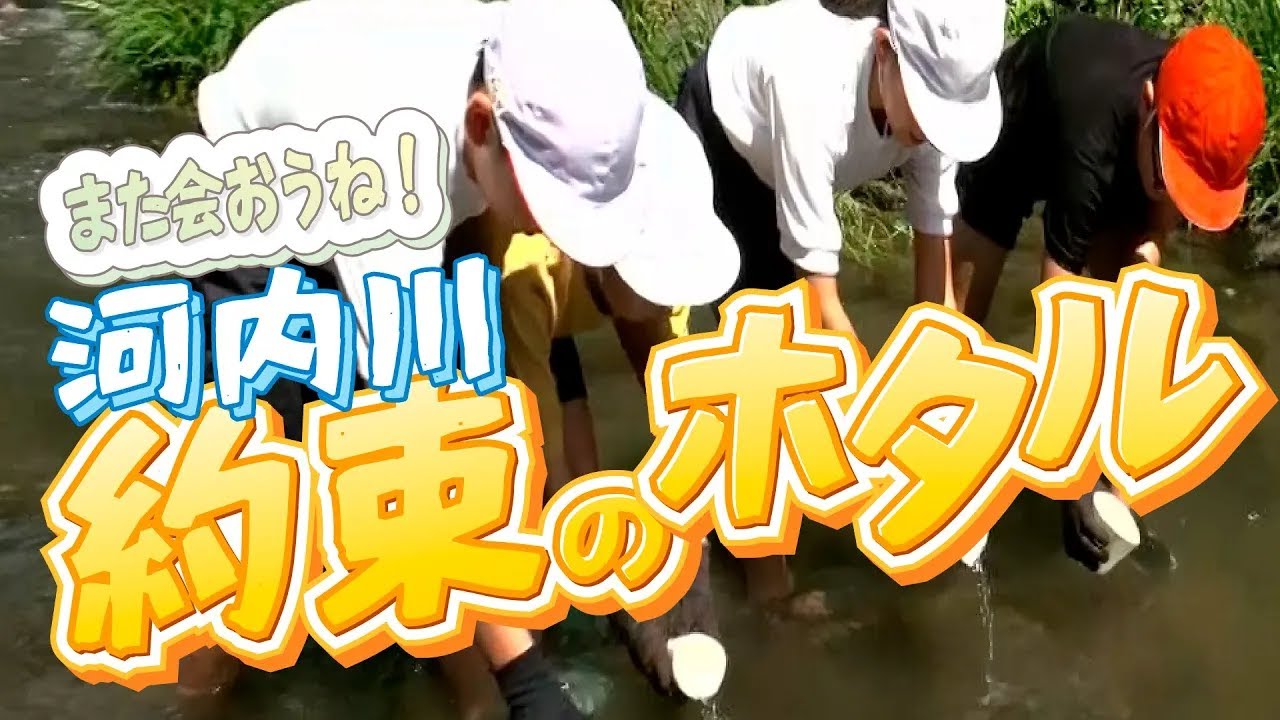 また会おうね！〜河内川・約束のホタル〜