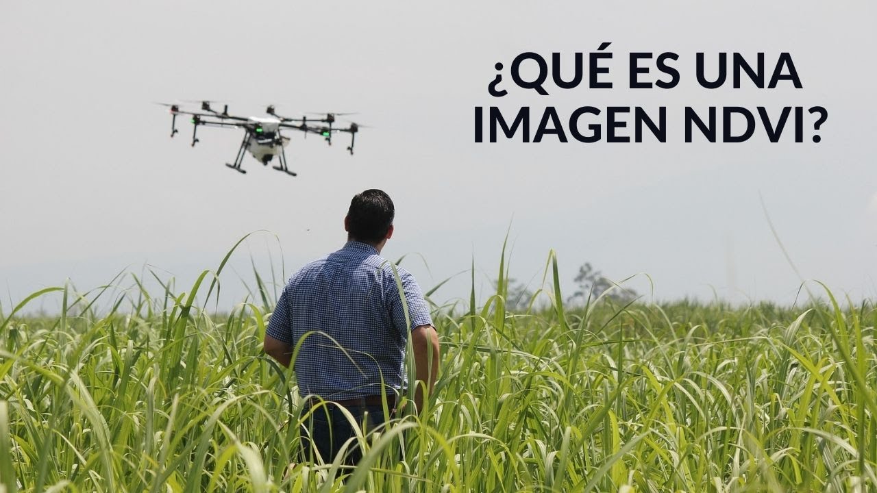 ¿Qué es una imagen NDVI?