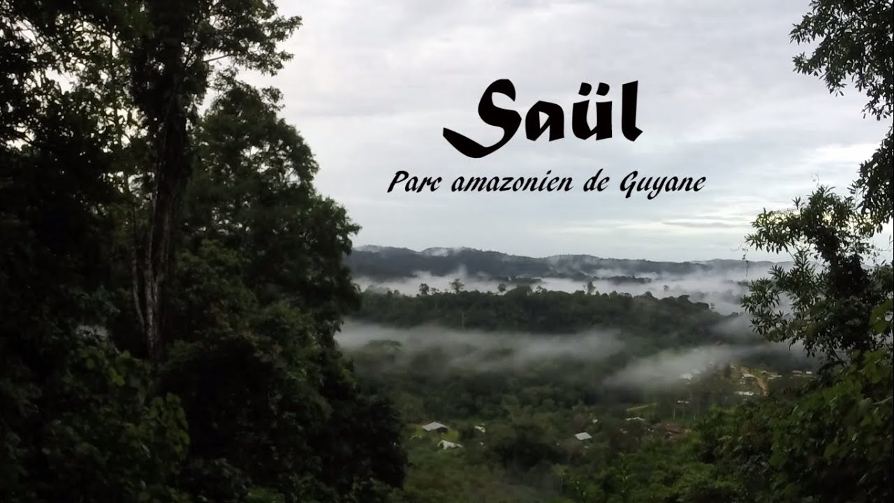 Saül, Parc Amazonien de Guyane - Juin 2016