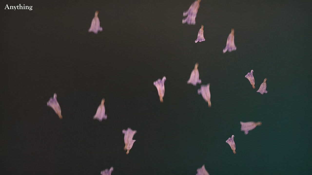 Sharon Van Etten - Anything (Lyric Video)