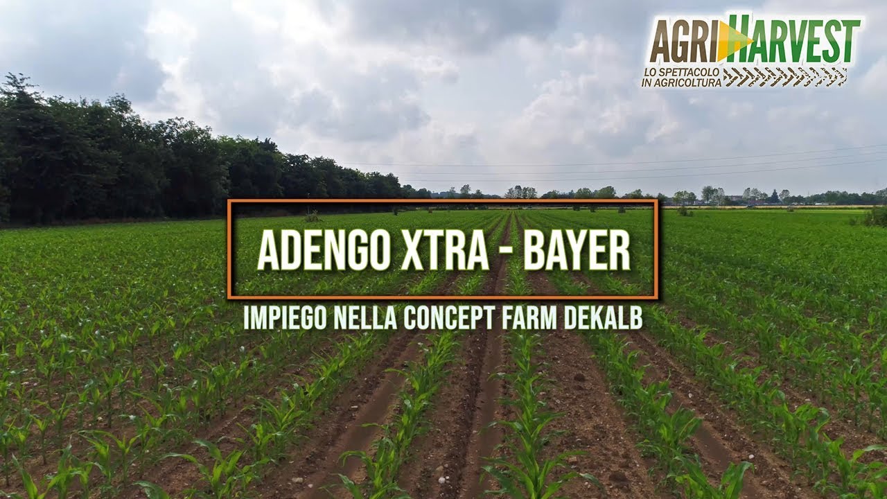 ADENGO XTRA - BAYER - Impiego nella Concept Farm Dekalb