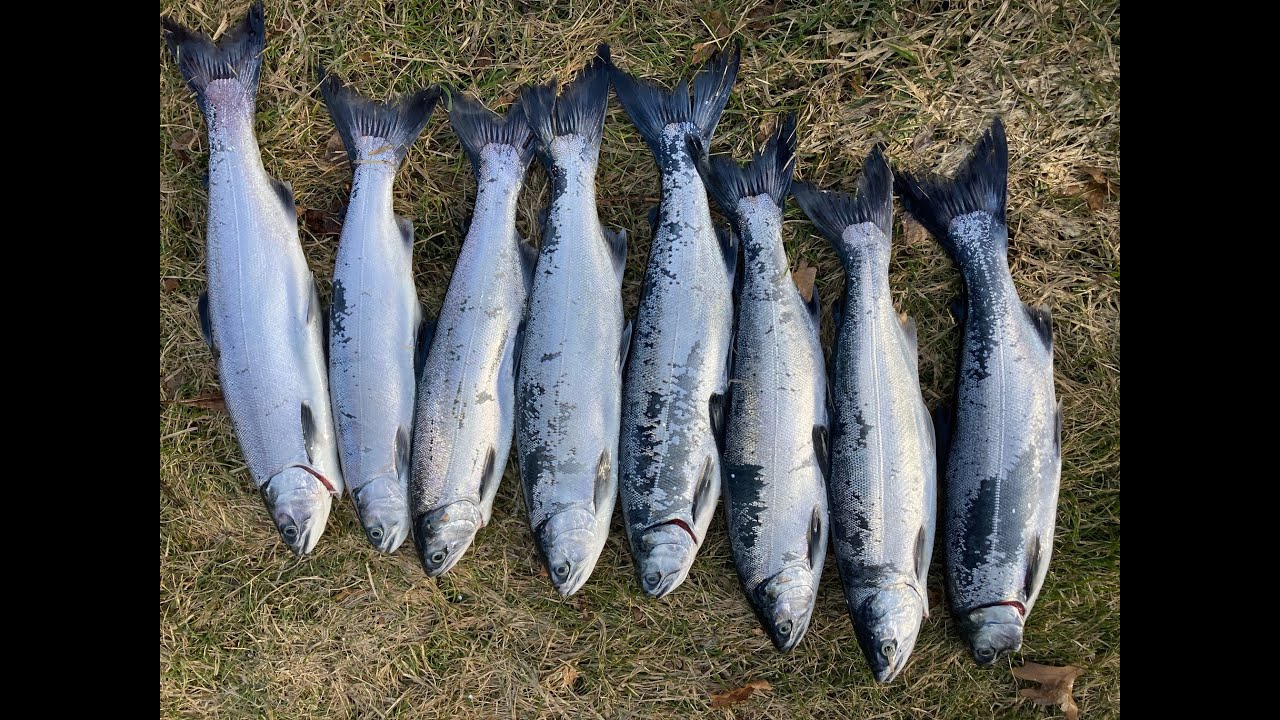 Big Lake - Little Boat    March 6, 2021 Coho Fishing - Lake Michigan