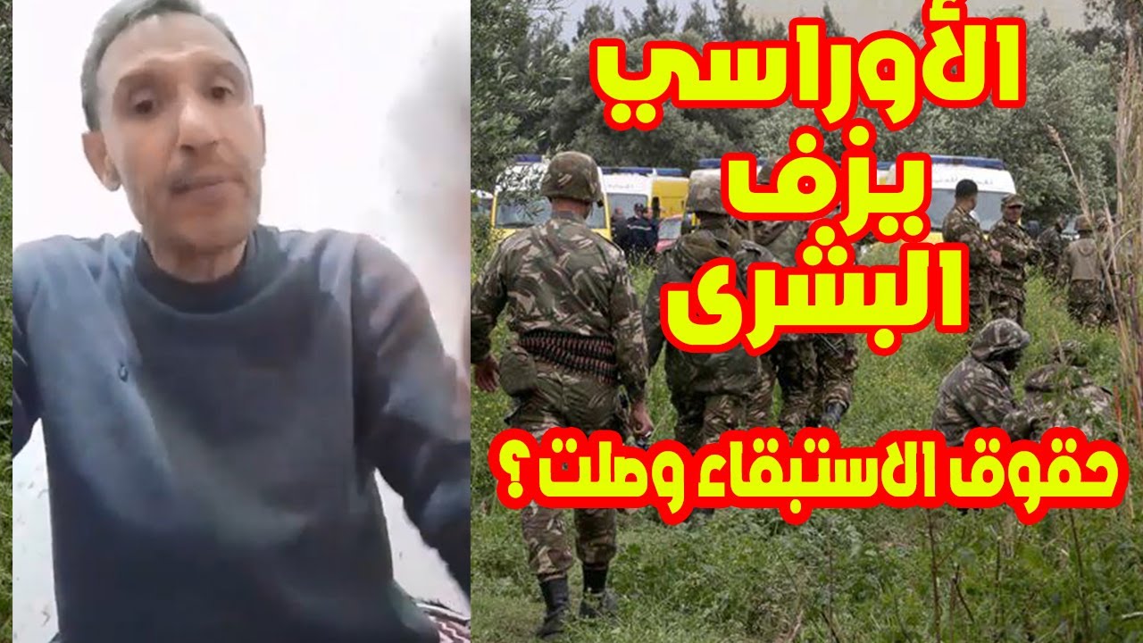 جديد الأخ الأوراسي: تفاصيل تسوية 2026 لجنود الاستبقاء ومحاربي العشرية السوداء ✅