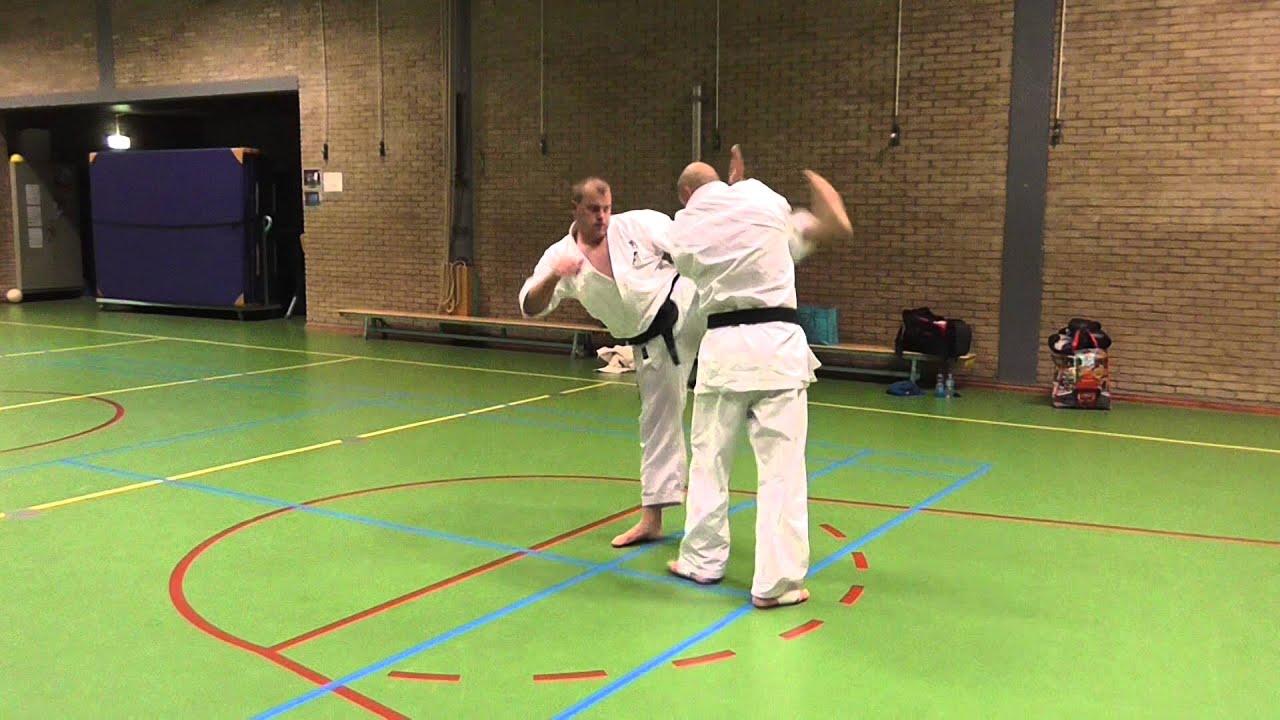 Kihon kata Ni Marc