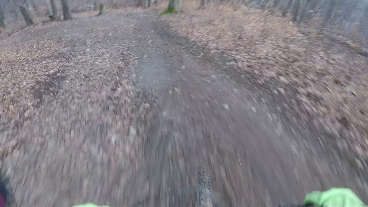 Enduro Line vs. Flow Line