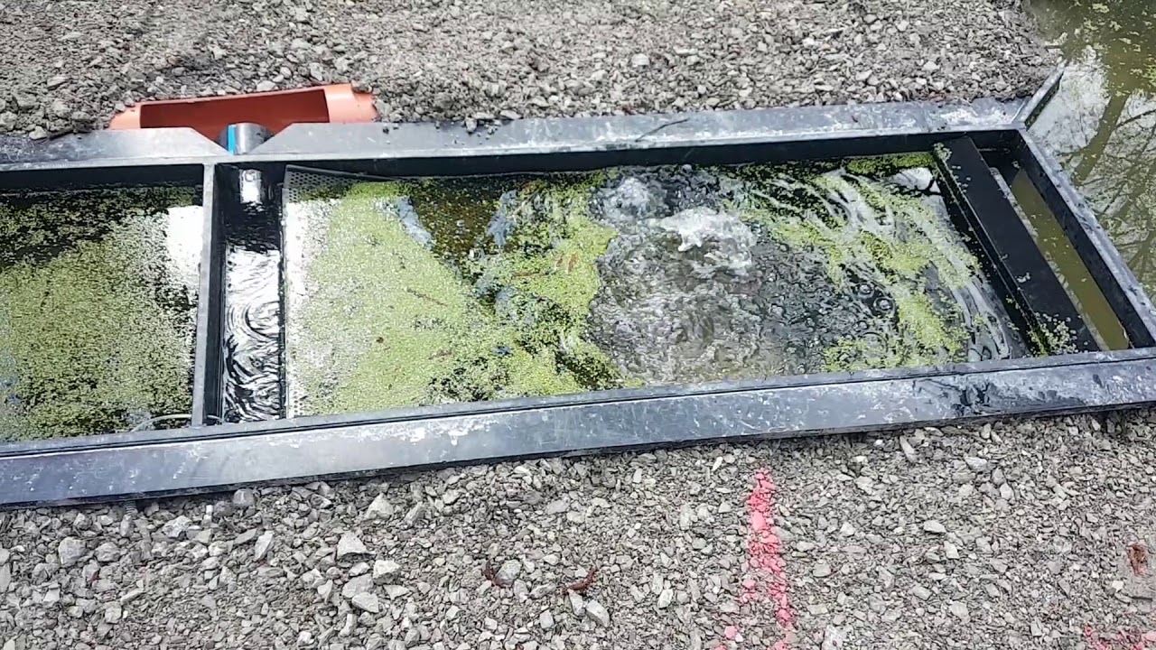 Wasserlinsen, Entengrütze absaugen