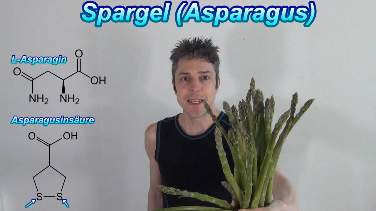 Wei&szlig;er Spargel? Nein danke! Nur gr&uuml;ner Spargelsaft zur Entgiftung &ndash; einfach ohne Sch&auml;len & Kochen!