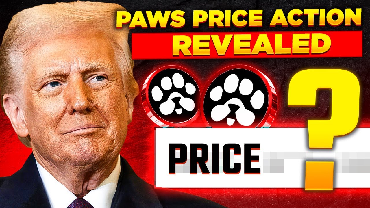 Paws Airdrop Won't Make  You Rich 50,000 Paws = $20 | Paws Price Prediction Revealed