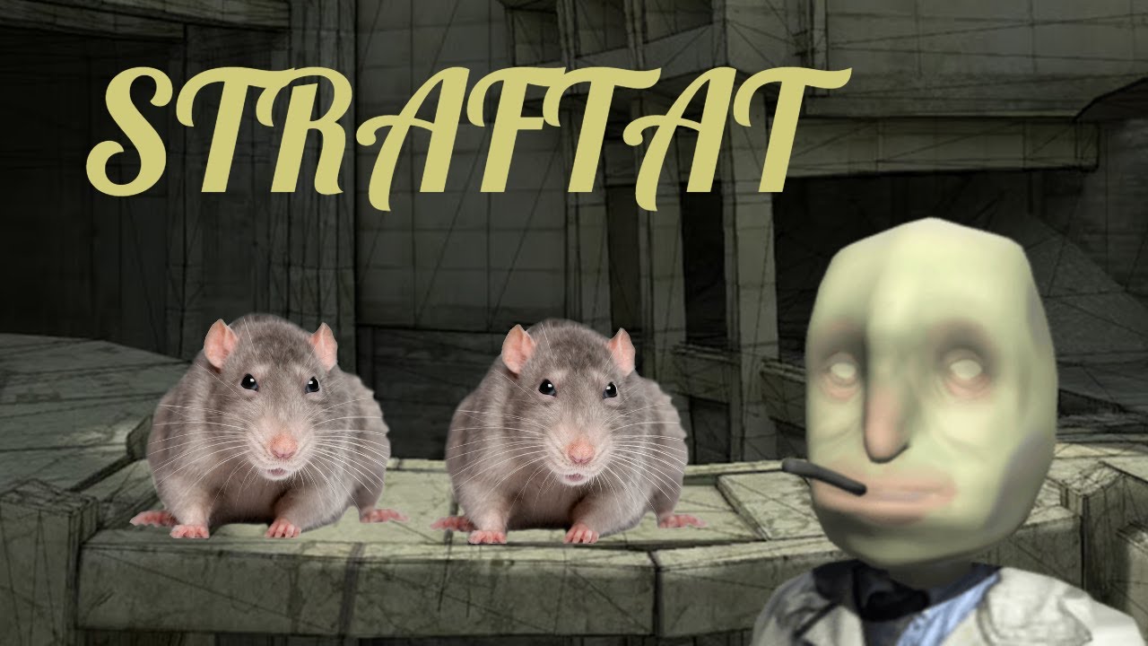 STRAFT RATS