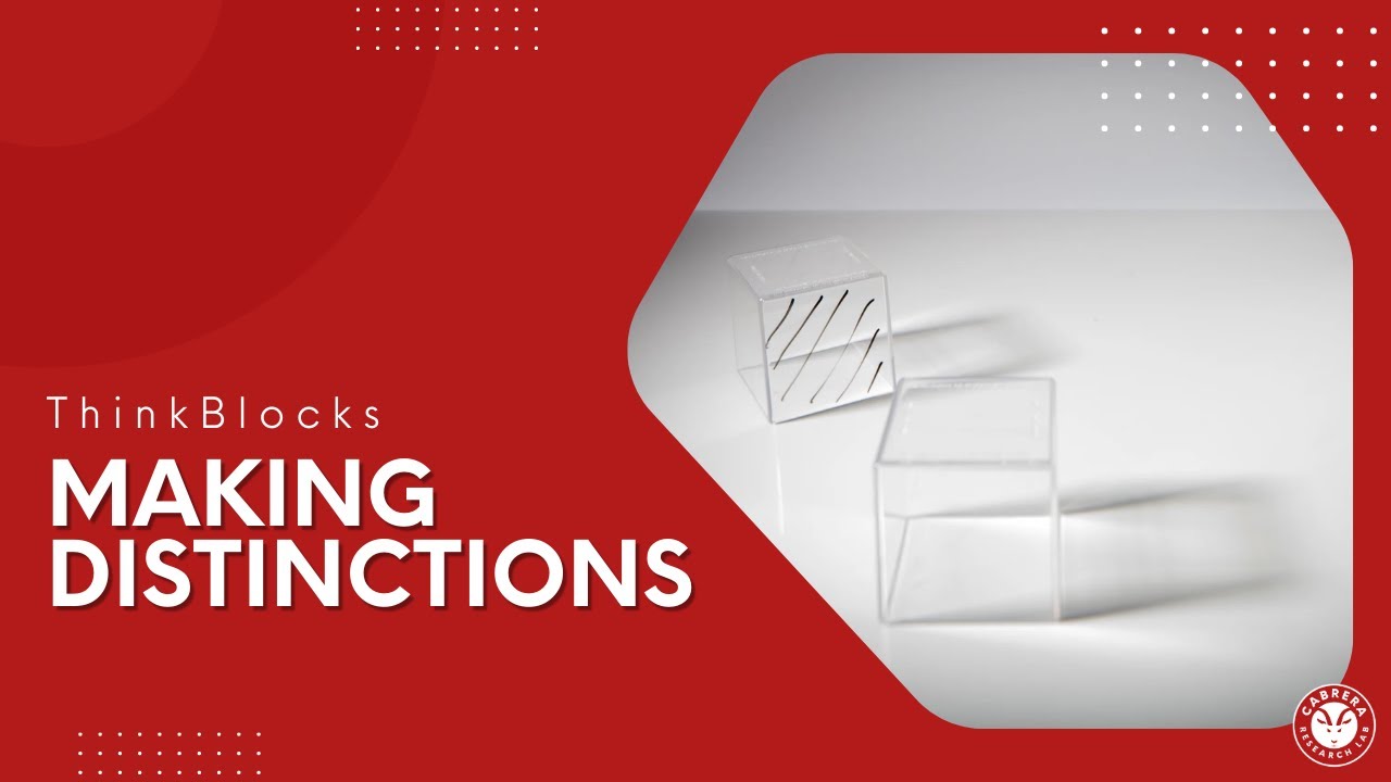 Distinction Making with ThinkBlocks | ThinkBlocks