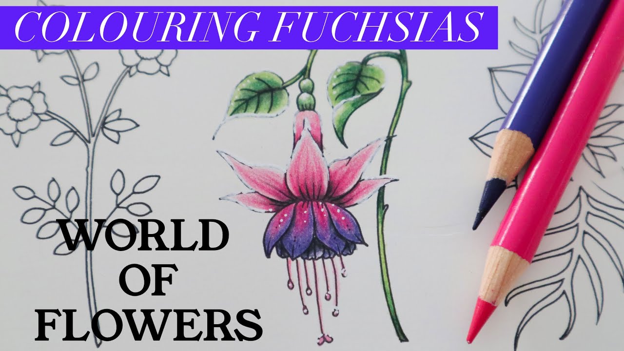 How to colour Fuchsias in WORLD OF FLOWERS  JOHANNA BASFORD | Polychromos | Adult colouring book