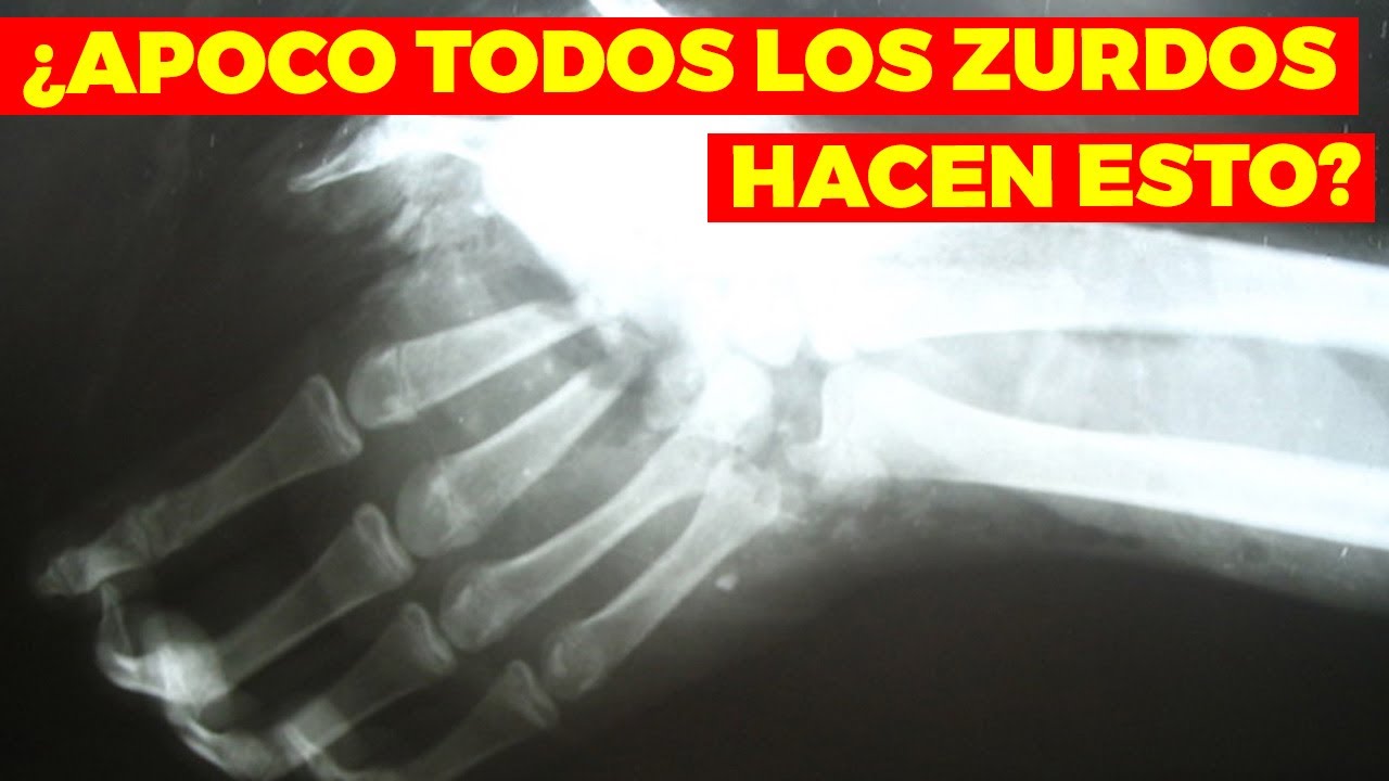 25 cosas interesantes de LOS ZURDOS que no podrás creer