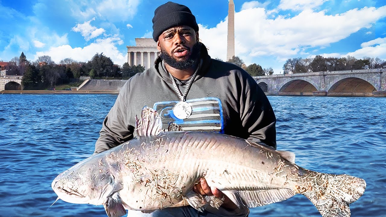 Would you Eat Catfish From a River in DC