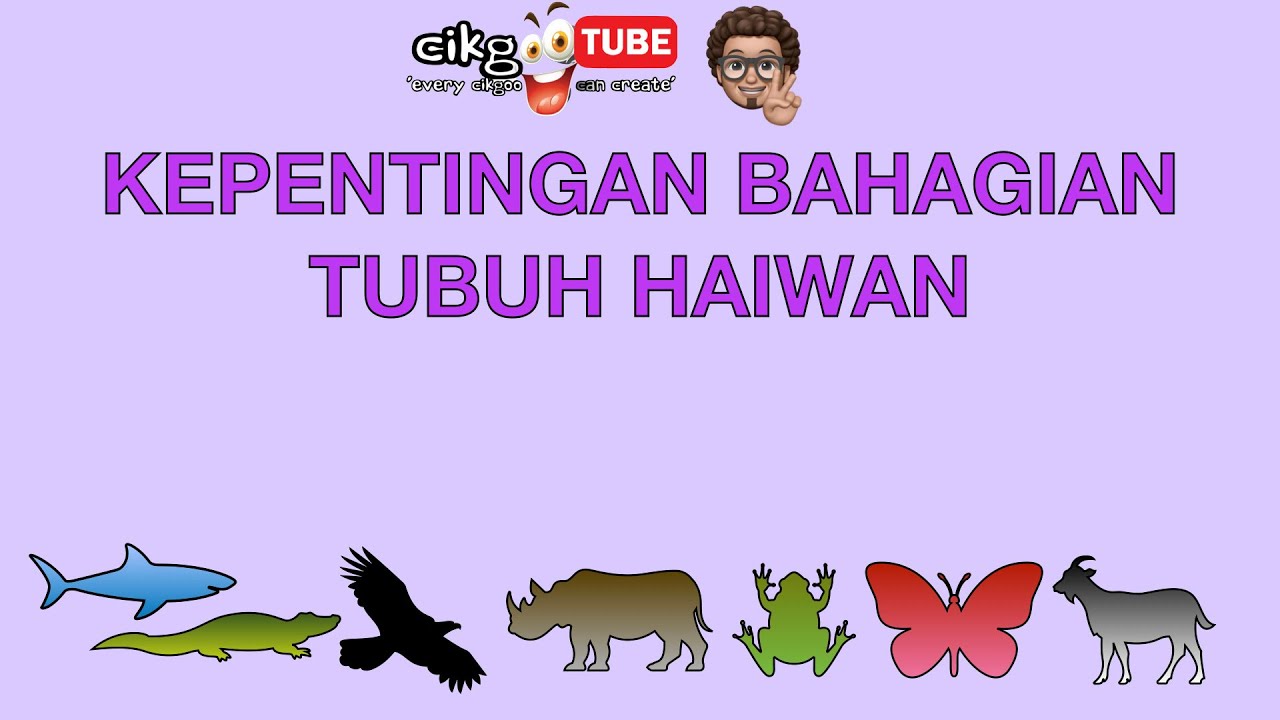 Sains Tahun 1: Kepentingan Bahagian Tubuh Haiwan #cikgooTube #CikguZoul