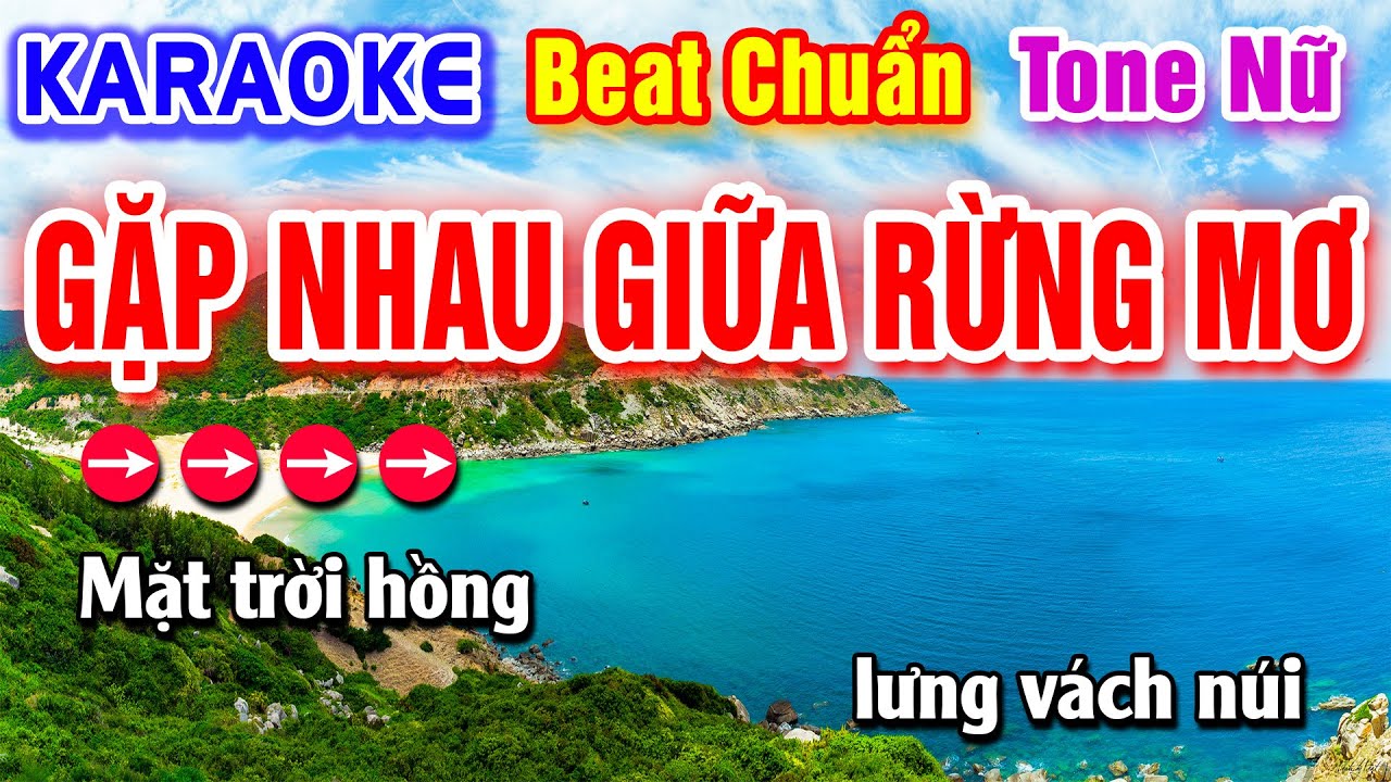 Gặp Nhau Giữa Rừng Mơ Karaoke Beat Chuẩn Tone Nữ - Hà My Karaoke